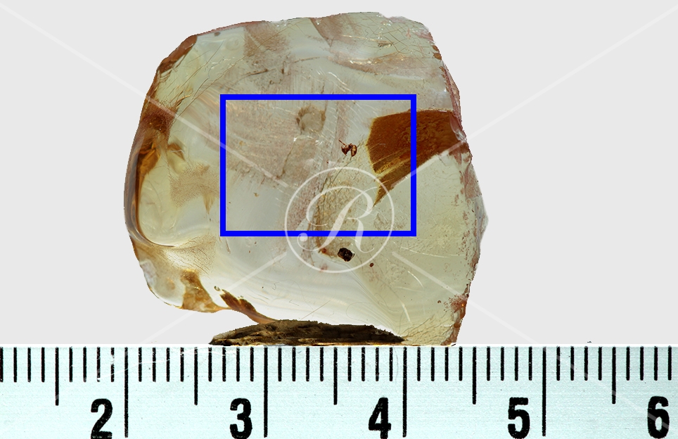 Watermark_219_N34 éch.jpg